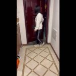 麦子被劫匪抢劫