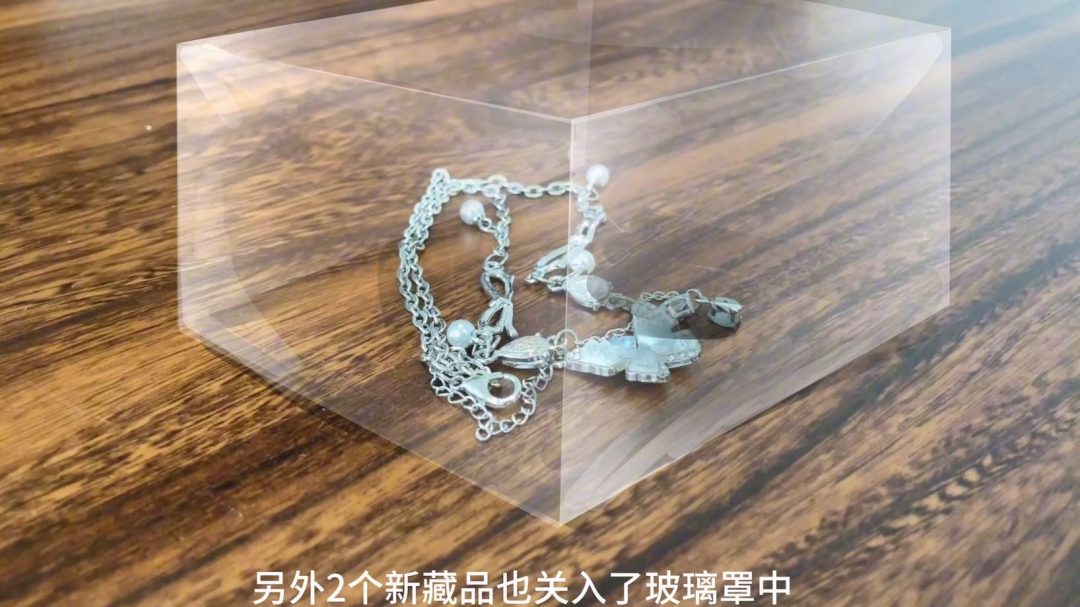 king云雀定拍《黑丝女盗——绝色双偷 下》饱和式剧情 超经典剧情 油光美女被重重捆绑成一团 最后被主人像藏品一样密封在玻璃罩中-12