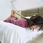 日式驷马口水收集