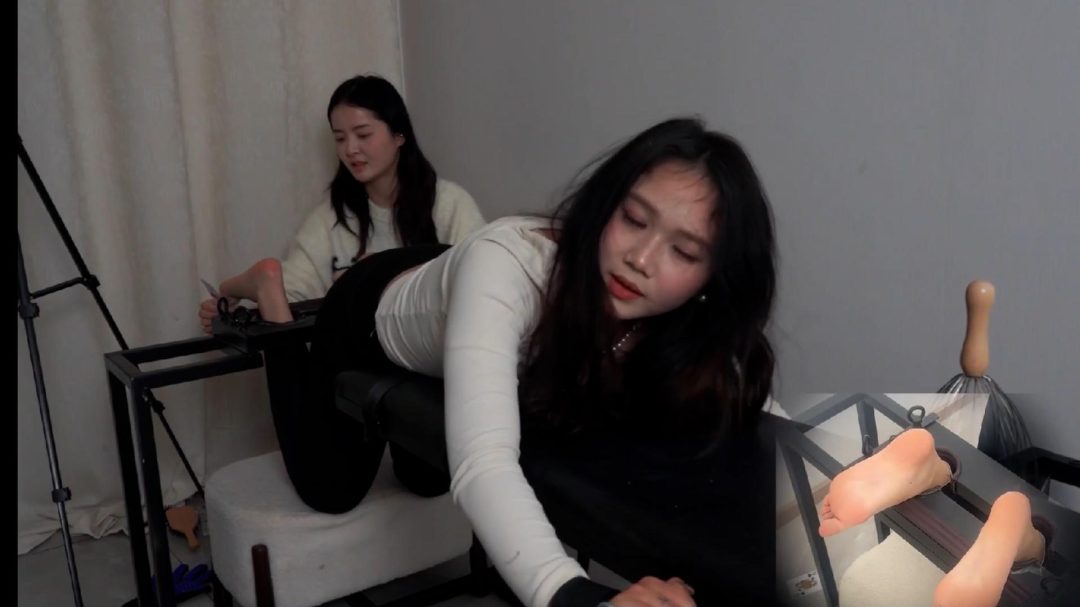 【灯火】— 圆脸沐沐TK-6
