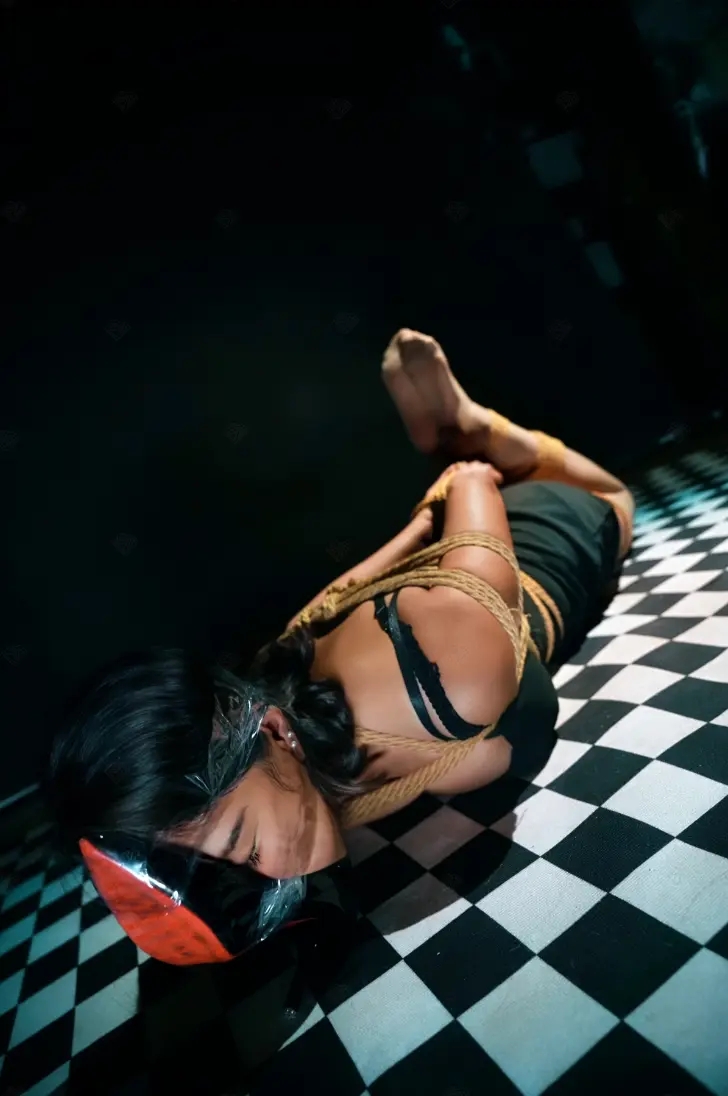 哈莉奎因工作室定拍-女搜查官（第二集）-1