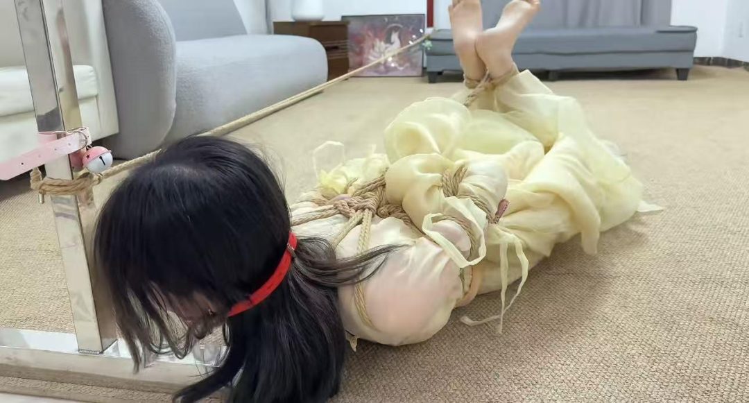 金宝工作室 新人推荐 木子 只只 妮妮 雨林 盖盖 奶贝-8
