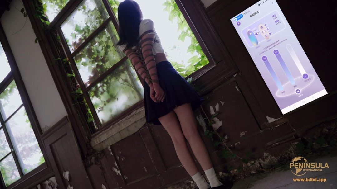 【半岛束艺台】【幼狮】老房有喜-1