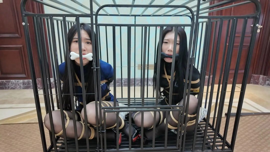 缚神的诱惑·梅开二度！蓝黑探员M腿狗狗-18