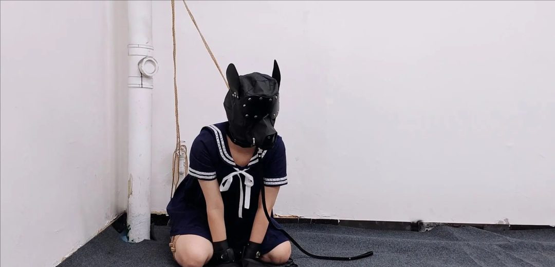女绳师李珂带着自己的小狗狗来工作室体验绳艺，带狗头束缚四肢爬行，sp鞭打，玩奴下奴。女绳师后来被进来的男生怎么样了呢，请看下集-3