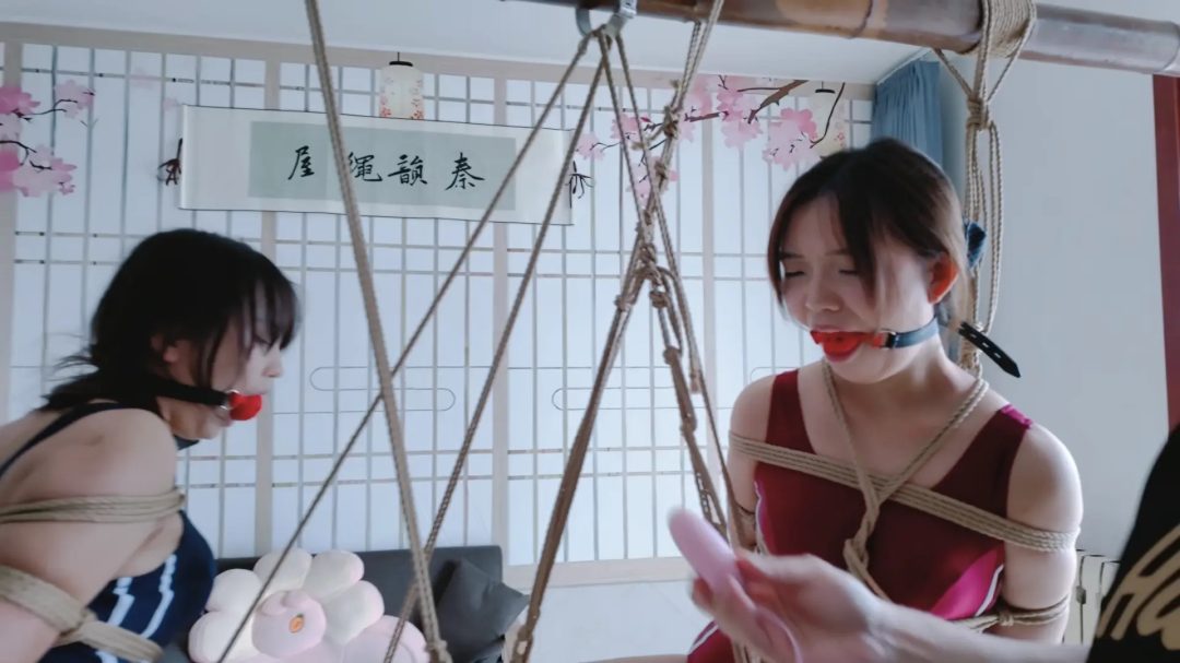 秦韵绳屋 窃贼报复记（下）-5