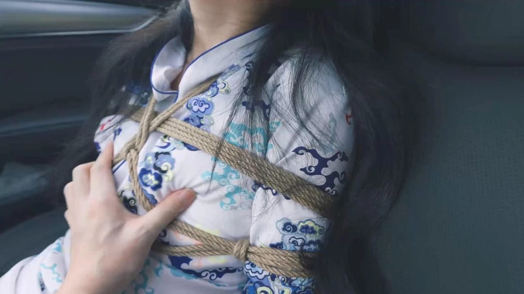 定拍《美女空姐劫持记》骚气空姐被司机绑架野外，放入后座上下一起玩弄，被玩晕过去再带回家，用原味丝袜内裤堵嘴，舔舐+闻穿过的丝袜-8