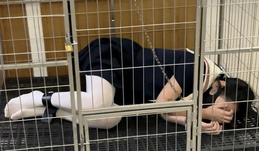 调教师日记之特殊少女改造记》-2，笼子关押+白丝，乖乖女学生小X被锁着手脚睡觉，醒来后在感觉到刺激和满足的同时也有些累和厌倦，于是计划逃离这里，但是她能否成功呢，失败的代价又是什么呢...-3
