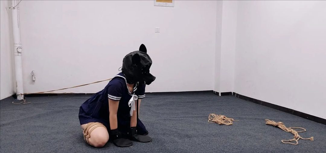 女绳师李珂带着自己的小狗狗来工作室体验绳艺，带狗头束缚四肢爬行，sp鞭打，玩奴下奴。女绳师后来被进来的男生怎么样了呢，请看下集-5