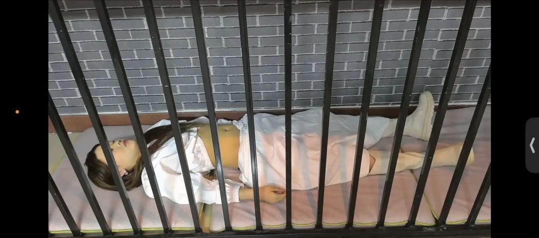 （精致订拍）女特工米圈的劫难-11