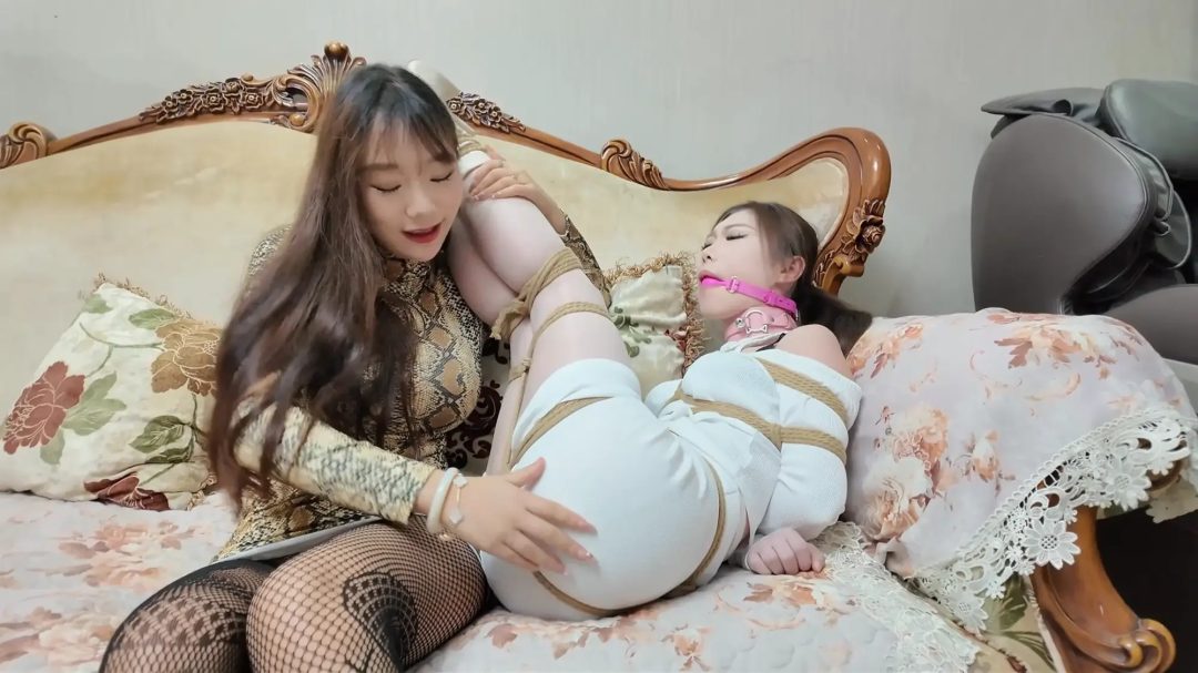 彩虹与黑猫·黑猫小分队·蛇鼠双调莫璃护小白-4
