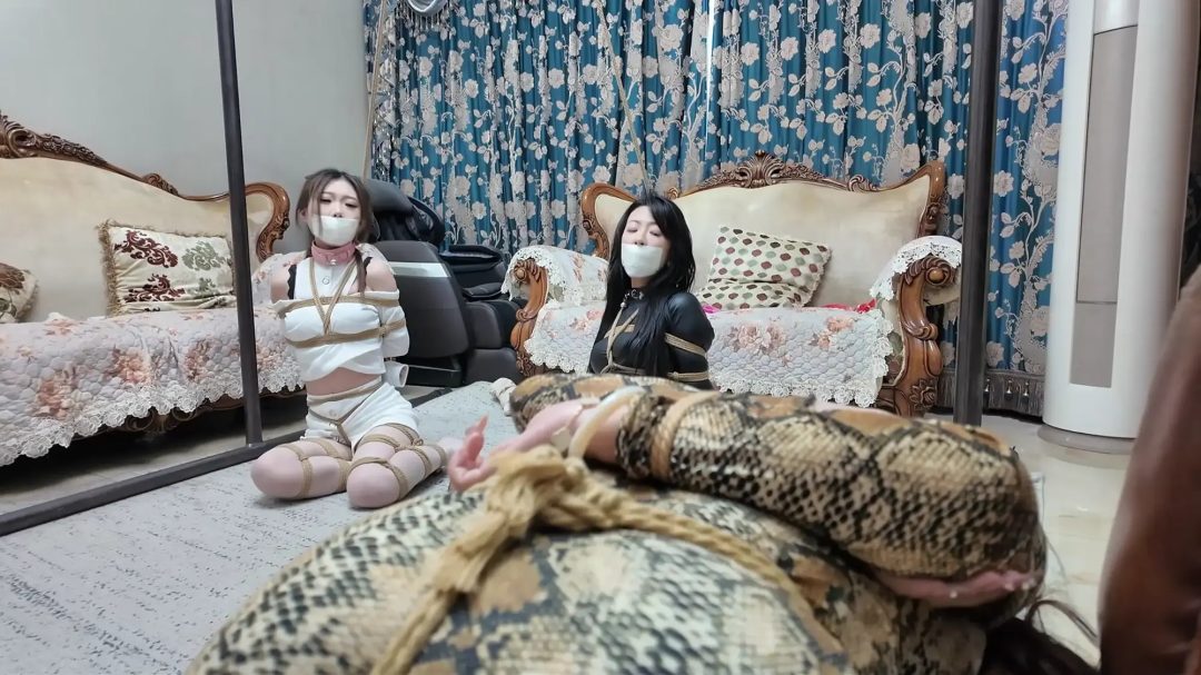 彩虹与黑猫·黑猫小分队·黑白蛇争艳妙计擒鼠-8