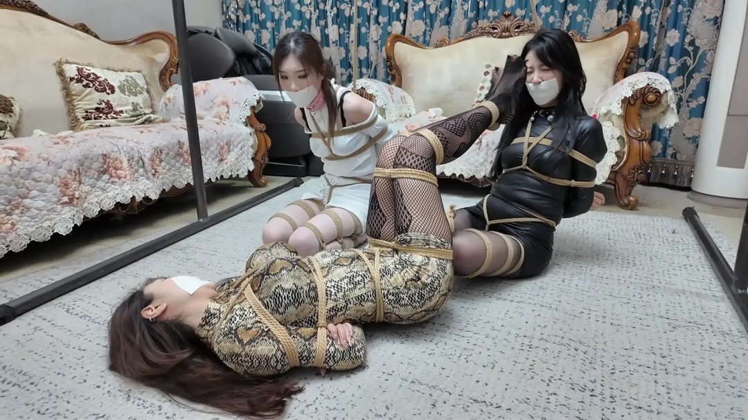 彩虹与黑猫·黑猫小分队·黑白蛇争艳妙计擒鼠-6