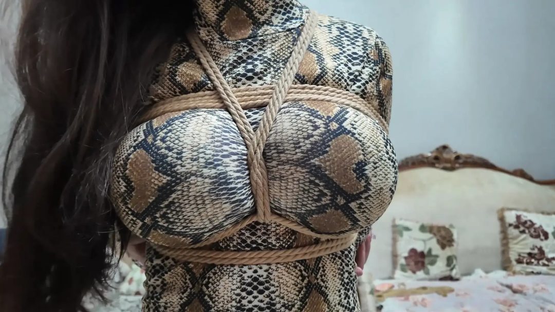 彩虹与黑猫·黑猫小分队·黑白蛇争艳妙计擒鼠-4