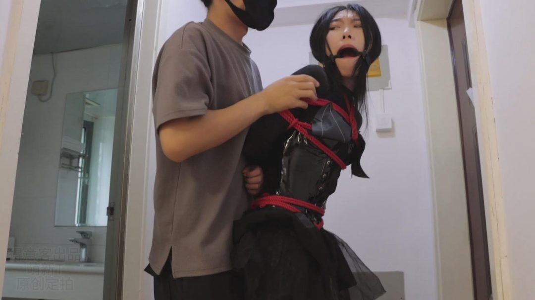 萌新T定拍作品·BD无限公司第二季简介-10