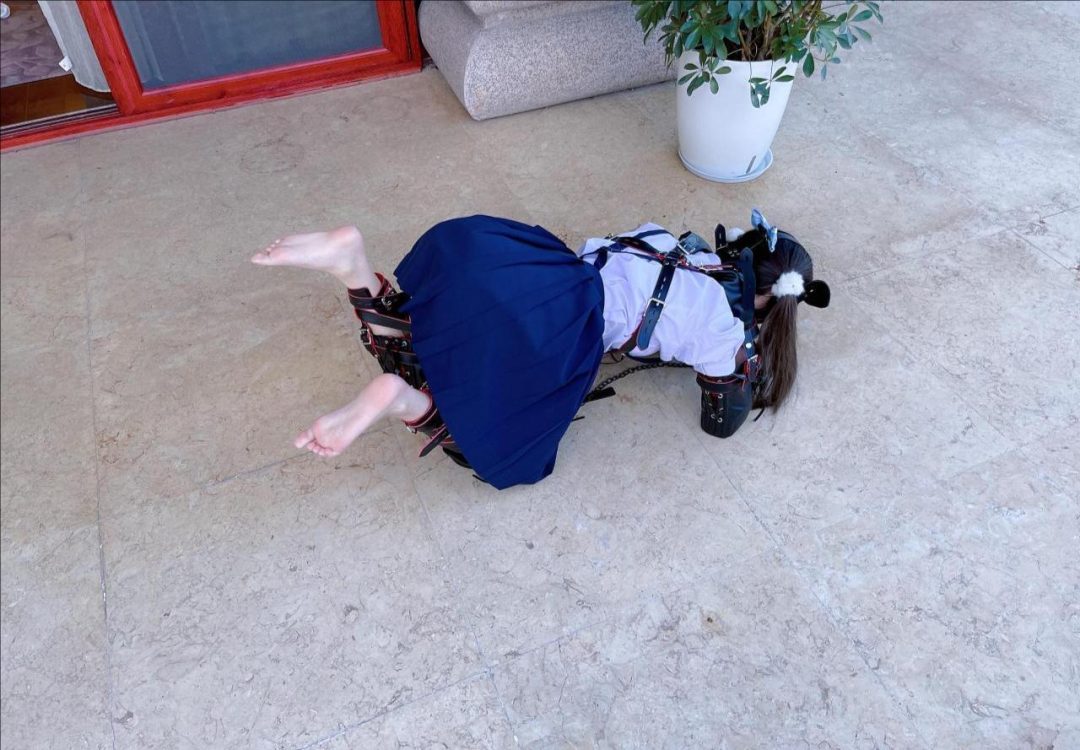 茶茶户外人形犬K9初体验-4