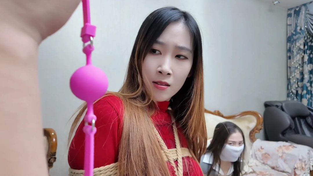 彩虹与黑猫·新美人捕获·大灰娘与小红高-9