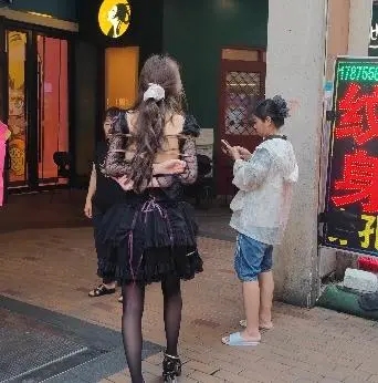 长颜草定拍，十字姬户外-3