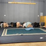四人k9下集，犬姿大战，精彩不断