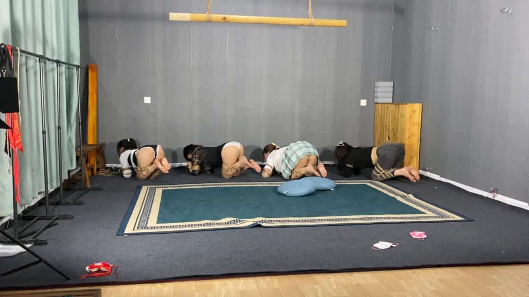 四人k9下集，犬姿大战，精彩不断-1