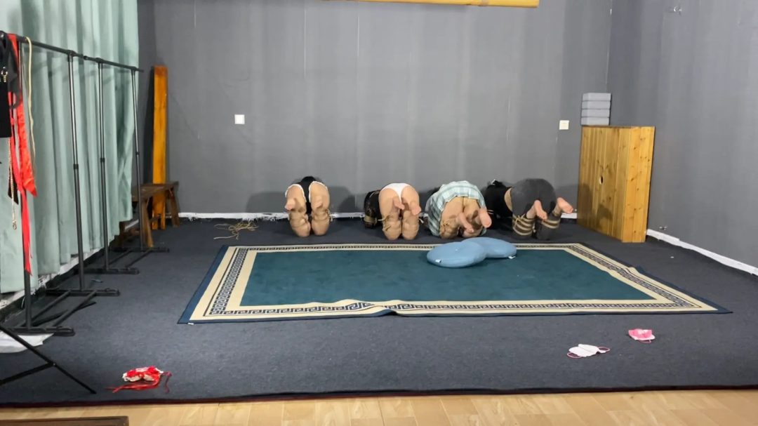 四人k9下集，犬姿大战，精彩不断-9