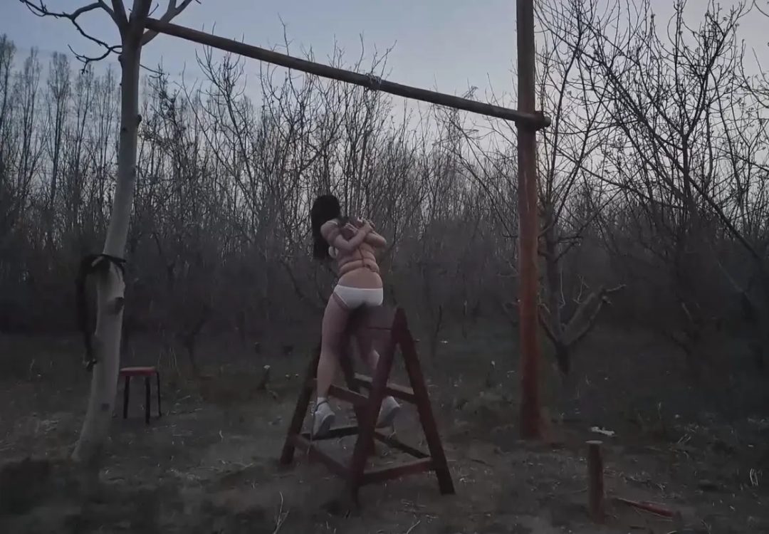 《木马上的杨若雨》-9
