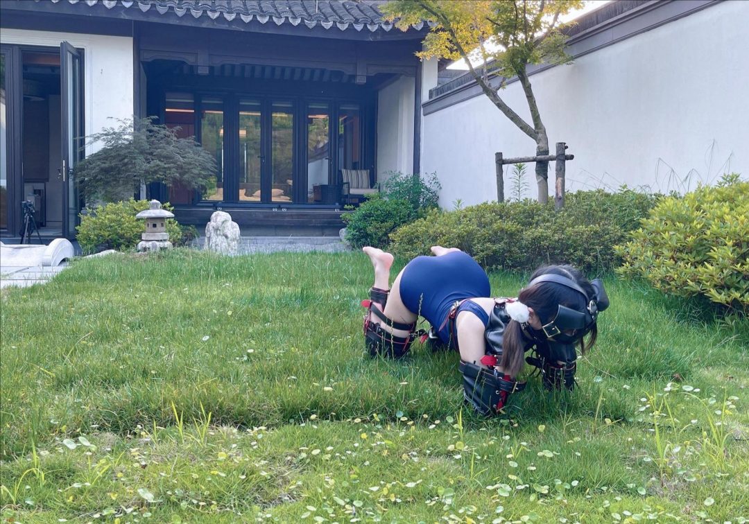 茶茶的园林别墅k9套装人形犬圈养体验~快来圈养一只裸足双马尾萝莉吧!-7