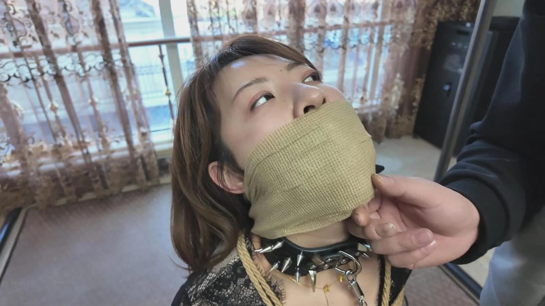 猎美陷阱·自信送绑的真夜小姐-12
