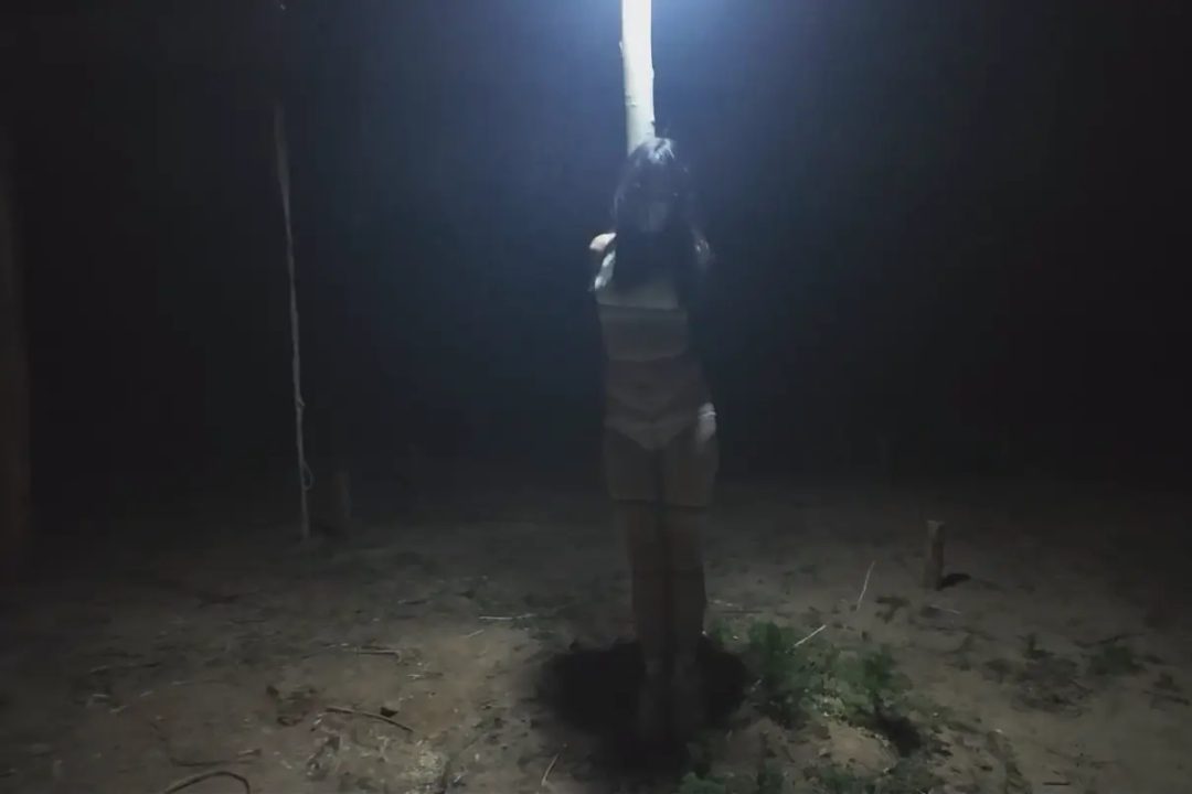 《木马上的杨若雨》-5