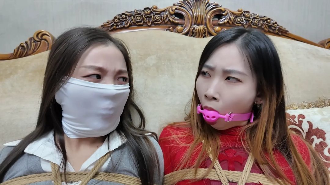 彩虹与黑猫·新美人捕获·大灰娘与小红高-11