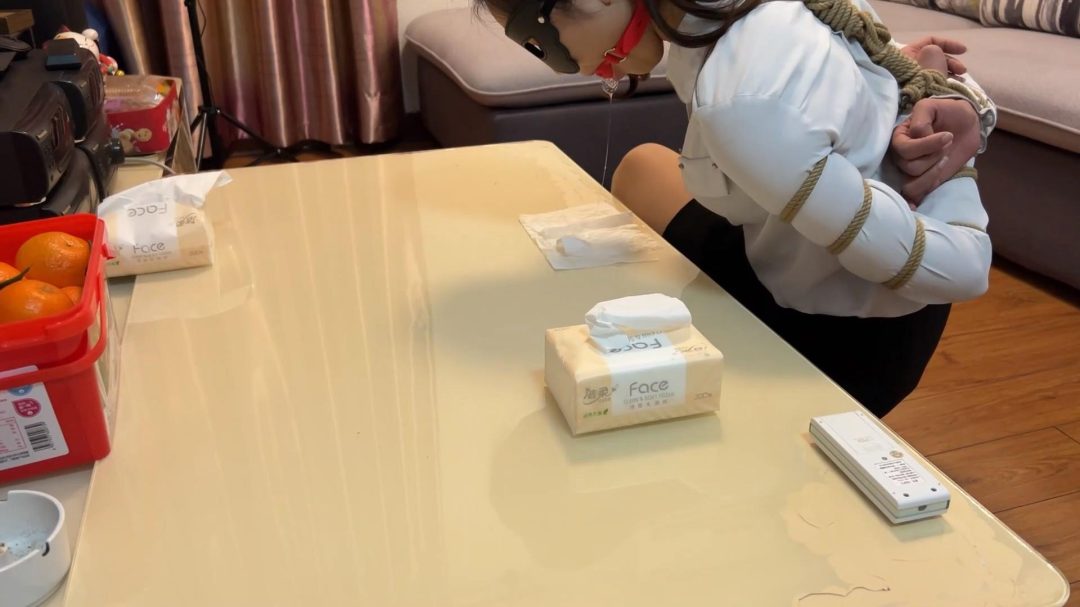 一条新丝袜的使命Ⅱ-6