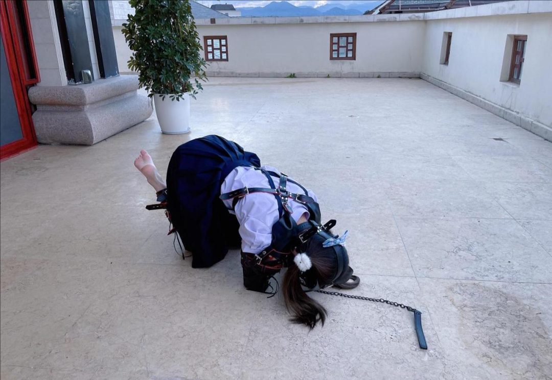 茶茶户外人形犬K9初体验-5