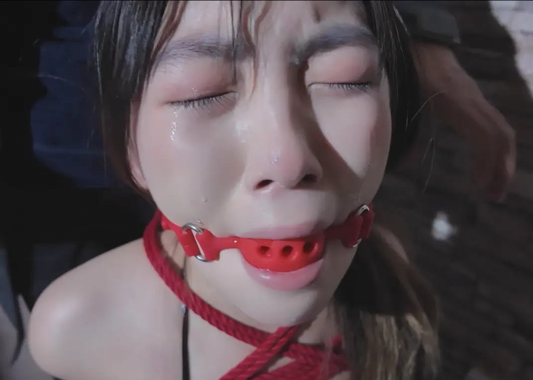 两只可爱的小狗狗-2