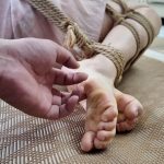 【枫叶工作室】惨遭背叛的米粒：下集
