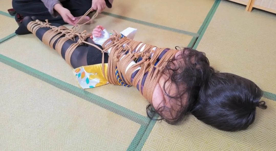 象人定拍合集-15