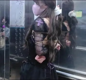 长颜草定拍，十字姬户外-2