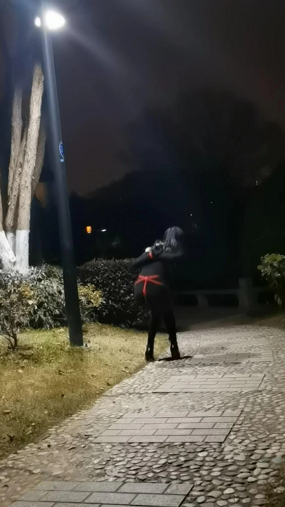 小公园外出自缚-2
