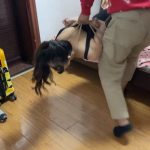 捆绑事件——逃脱游戏Ⅱ