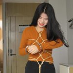 安然驷马放置