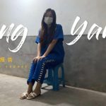 洋洋小报告