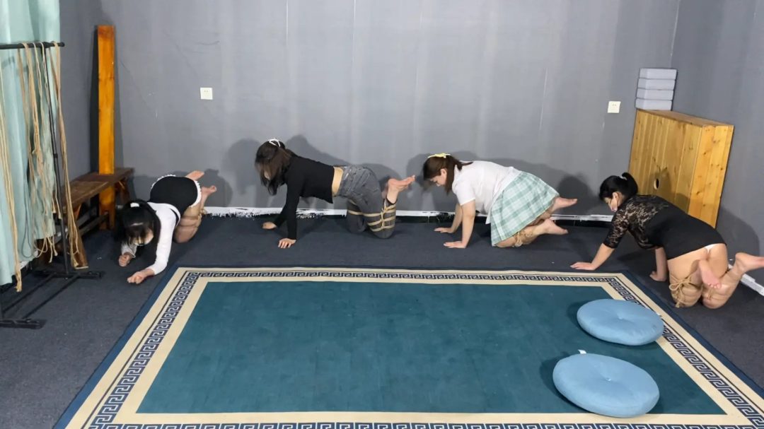 四人k9下集，犬姿大战，精彩不断-3