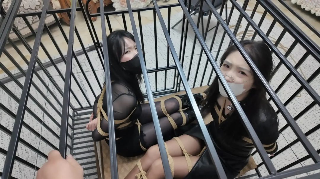 彩虹与黑猫·新美人捕获·女王的余兴游戏-10