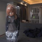 塑料袋中的KIG娃娃 – 记录了一个新的二氧化碳极限反应