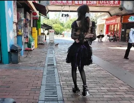 长颜草定拍，十字姬户外-8
