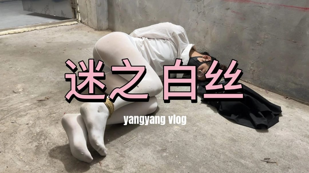 洋洋迷之白丝-1