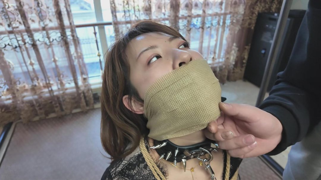 猎美陷阱真夜送绑中计篇-4