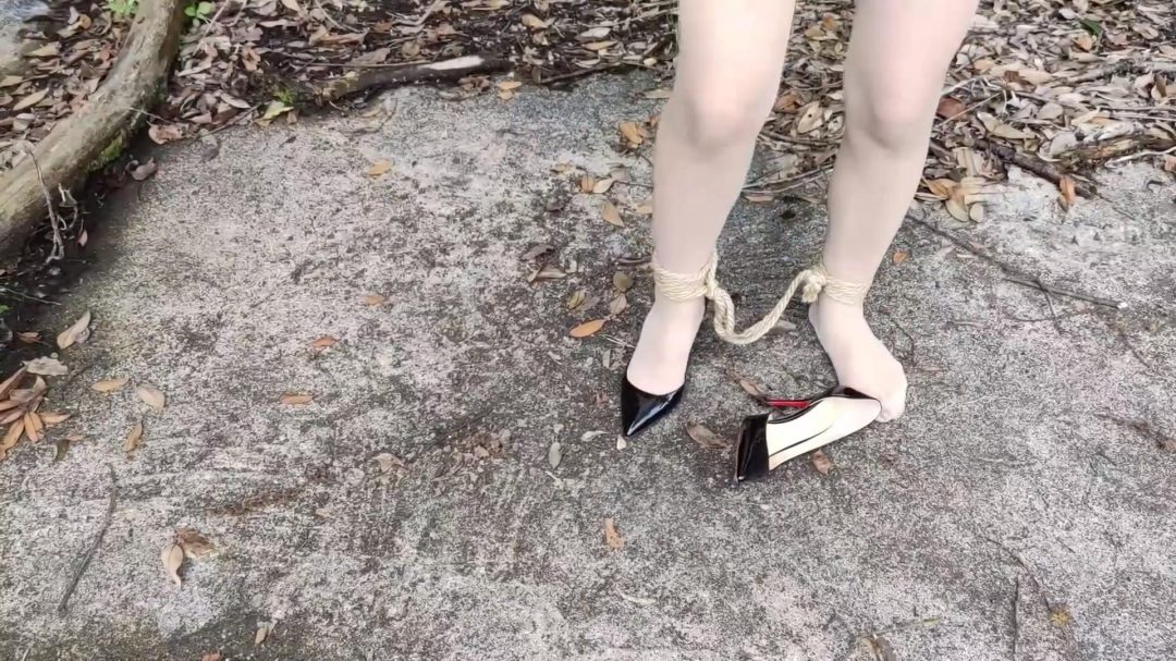 洋洋执行记Ⅲ-6