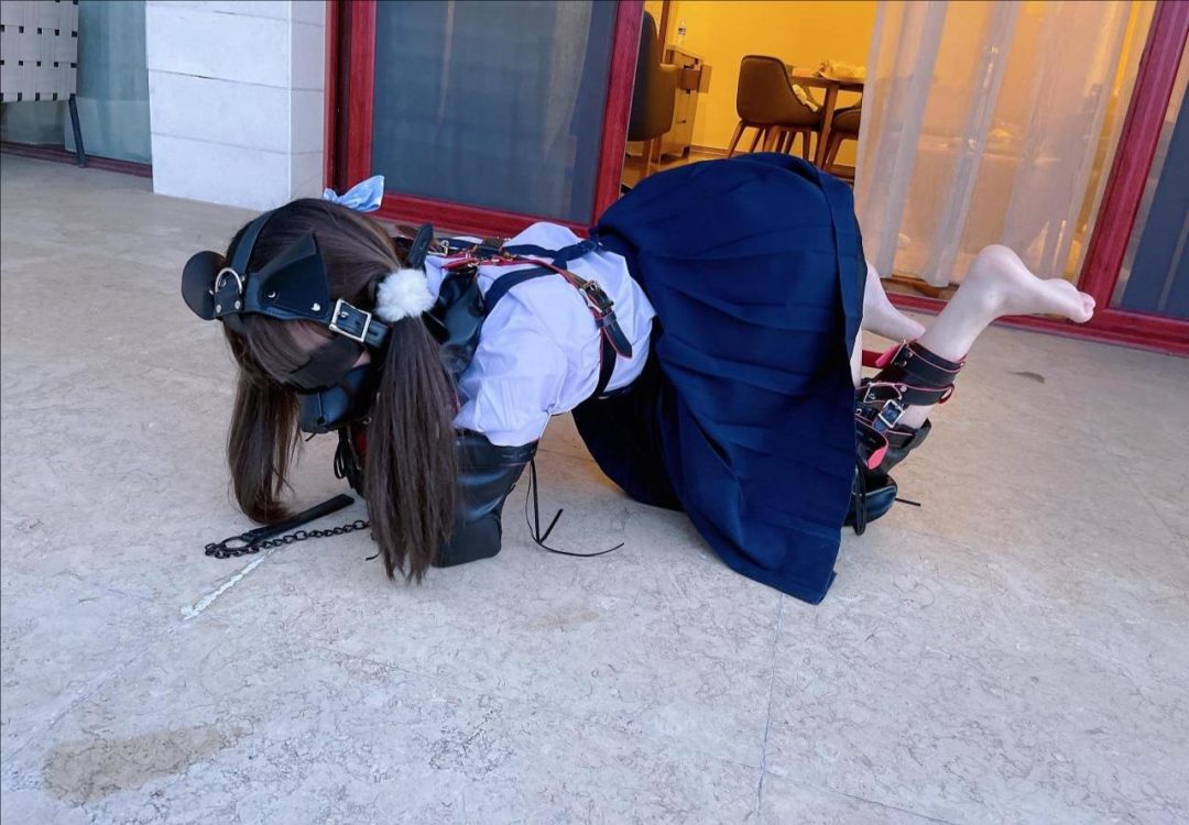 茶茶户外人形犬K9初体验-3