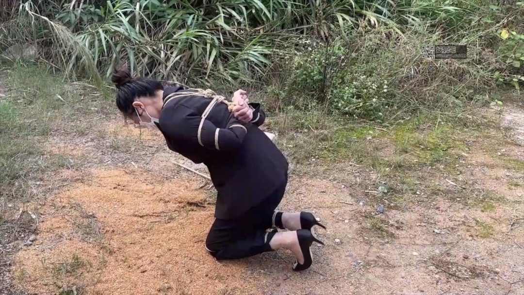 洋洋执行记-5