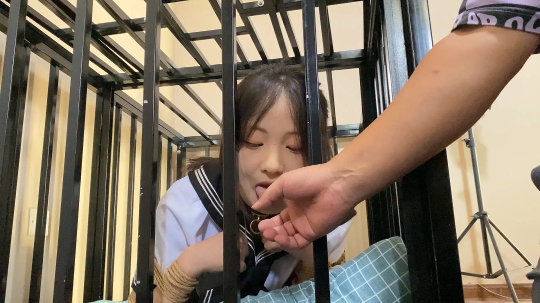 素人动动 成为k9-3
